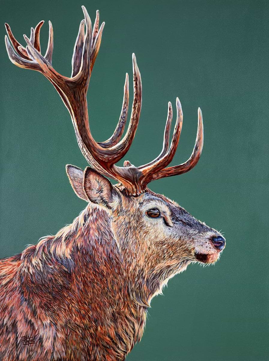 Stag