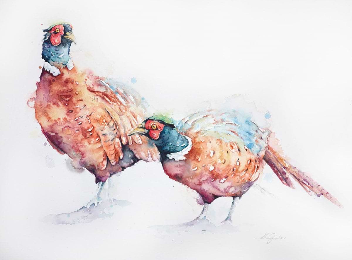 Colourful Brothers