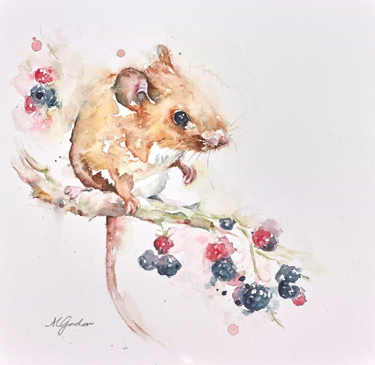 Nature's Bounty