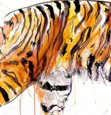Sumatran Tiger 2022 (Detail2)