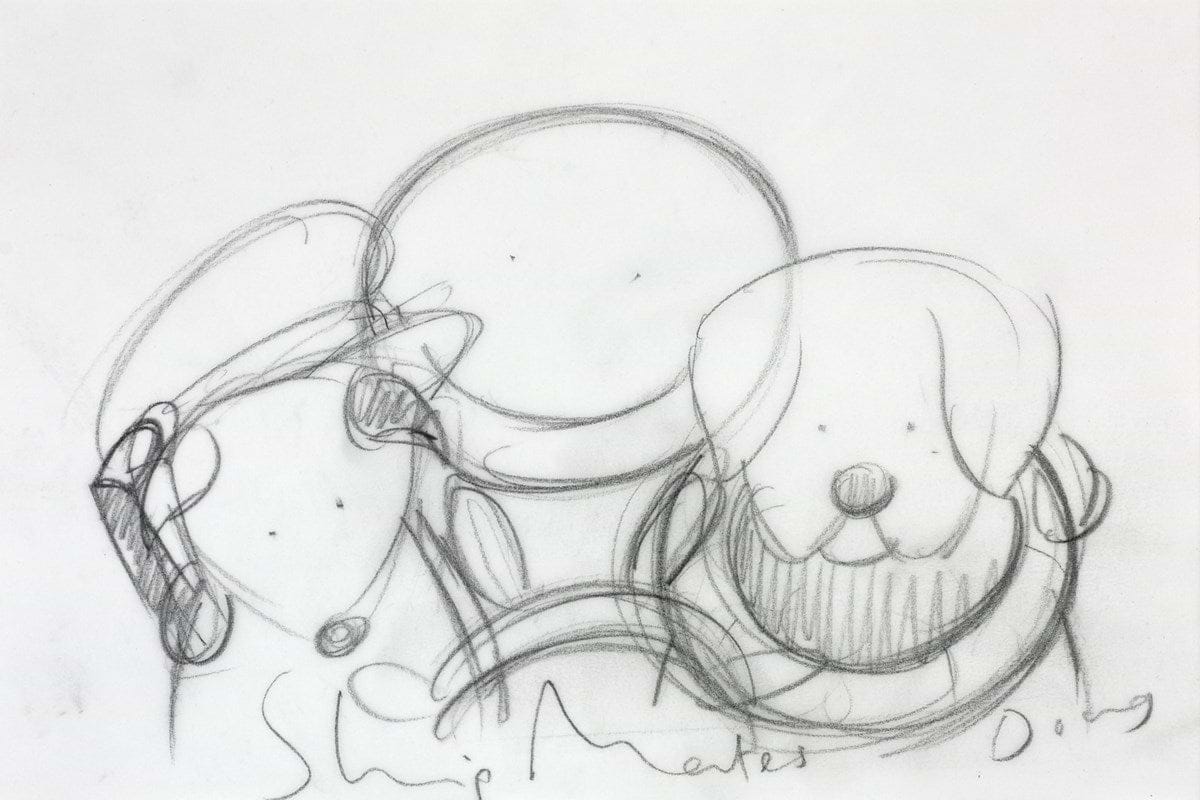 Shipmates (Study IV)