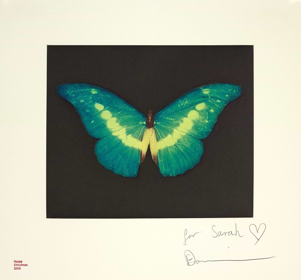 Green Butterfly, 2008
