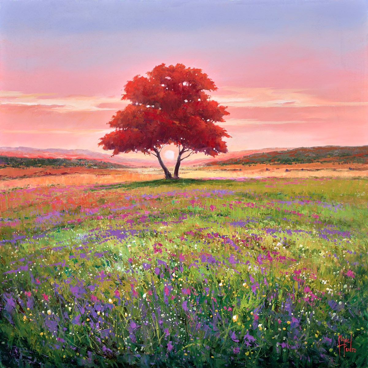 Amanecer II