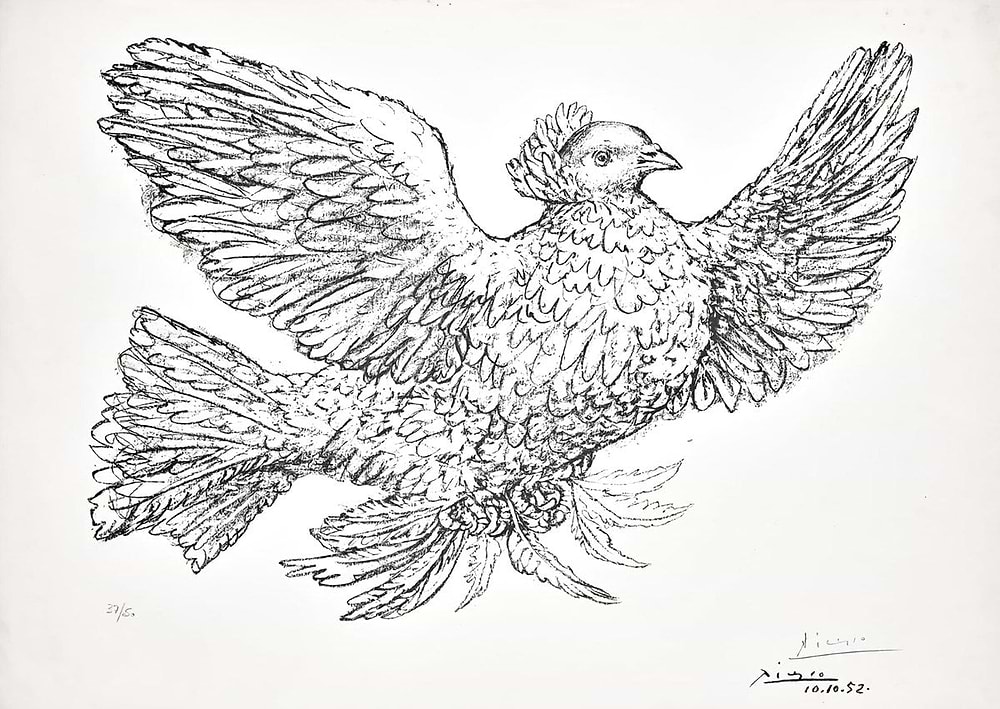 Colombe Volant (Flying Dove)