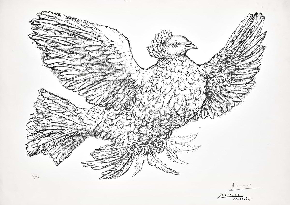 Colombe Volant (Flying Dove)