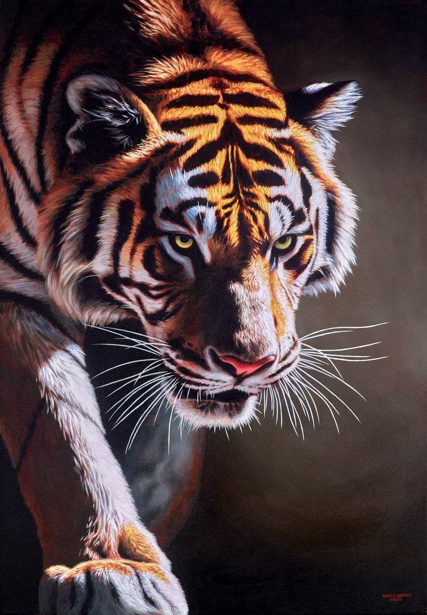 Stepping Into The Arena | Marco Grasso – Clarendon Fine Art