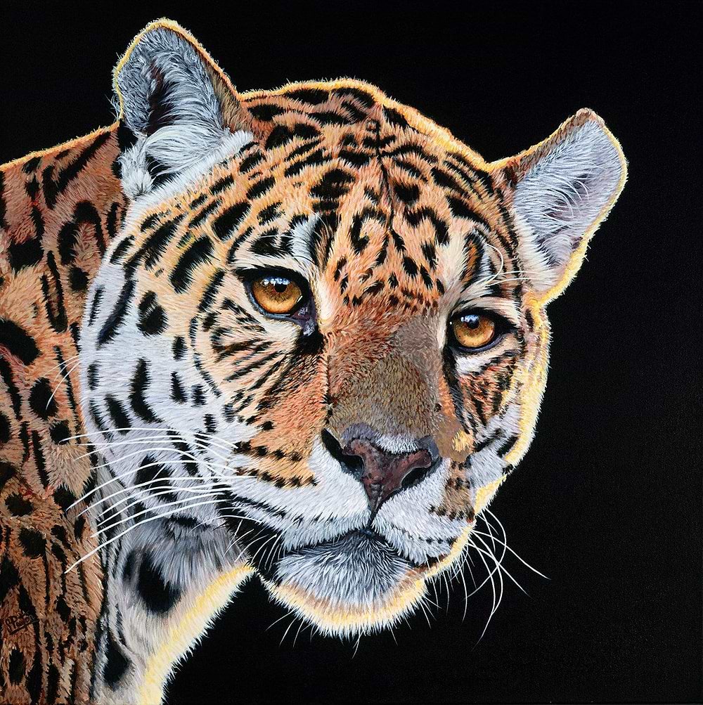 Jungle Hunter