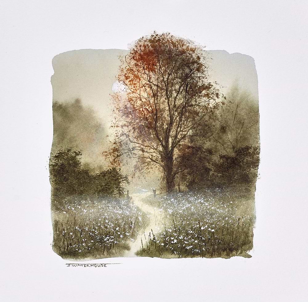 Enchanted (study)