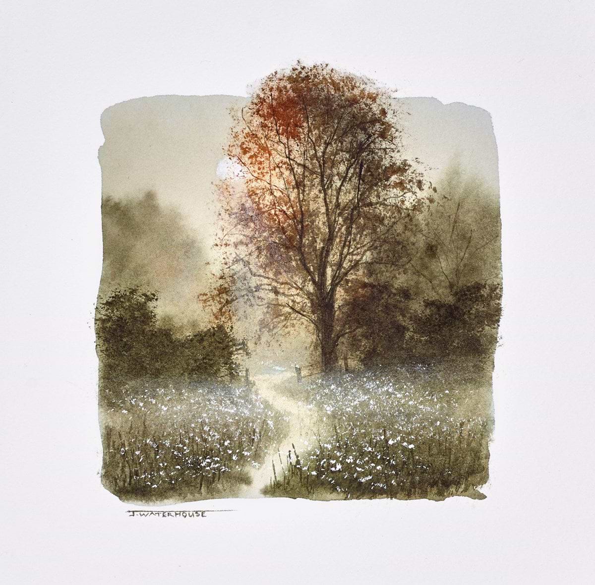 Enchanted (study)
