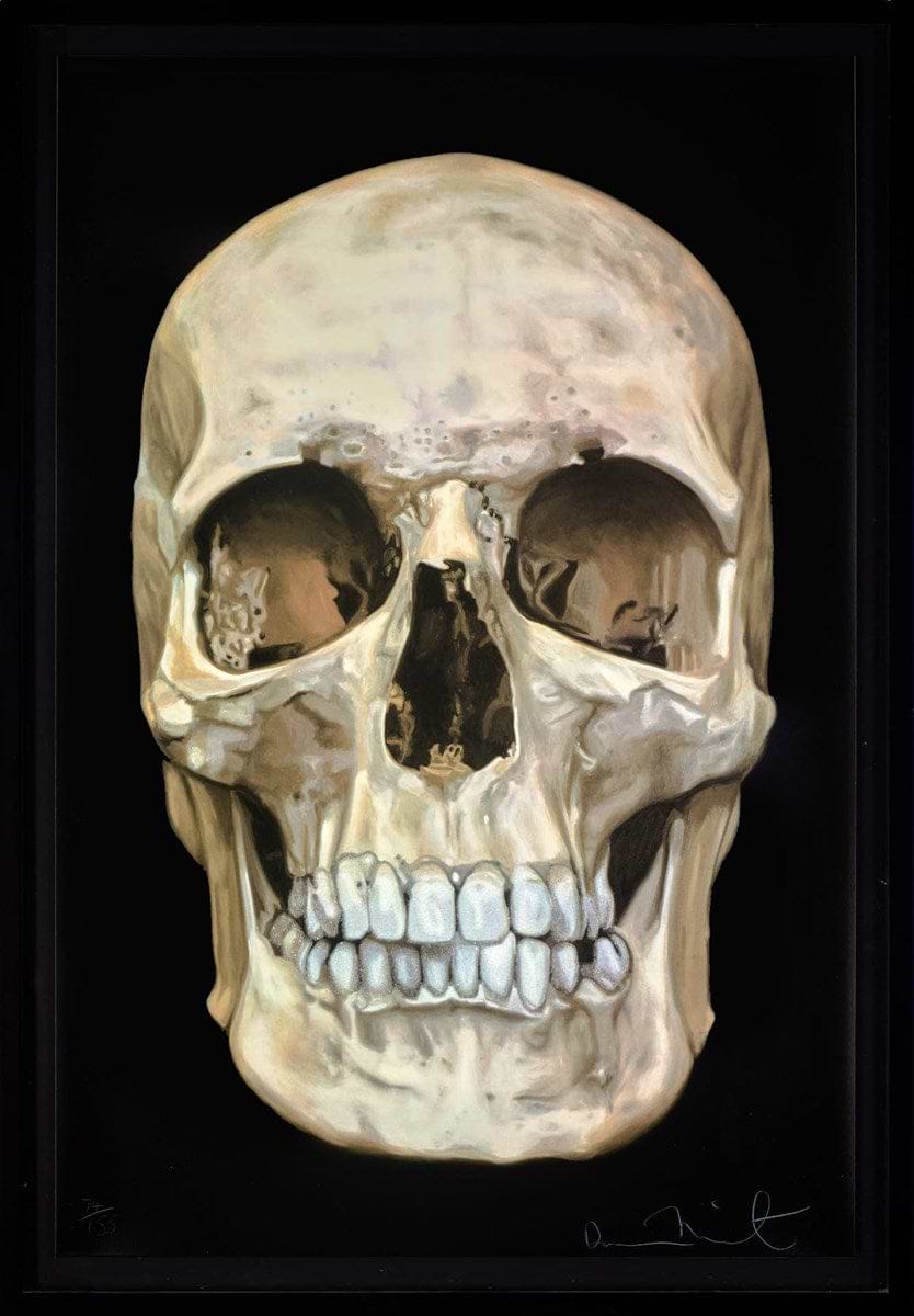 The Skull Beneath The Skin