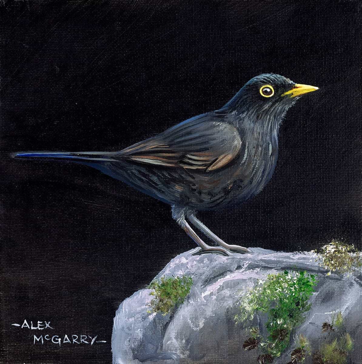 Blackbird