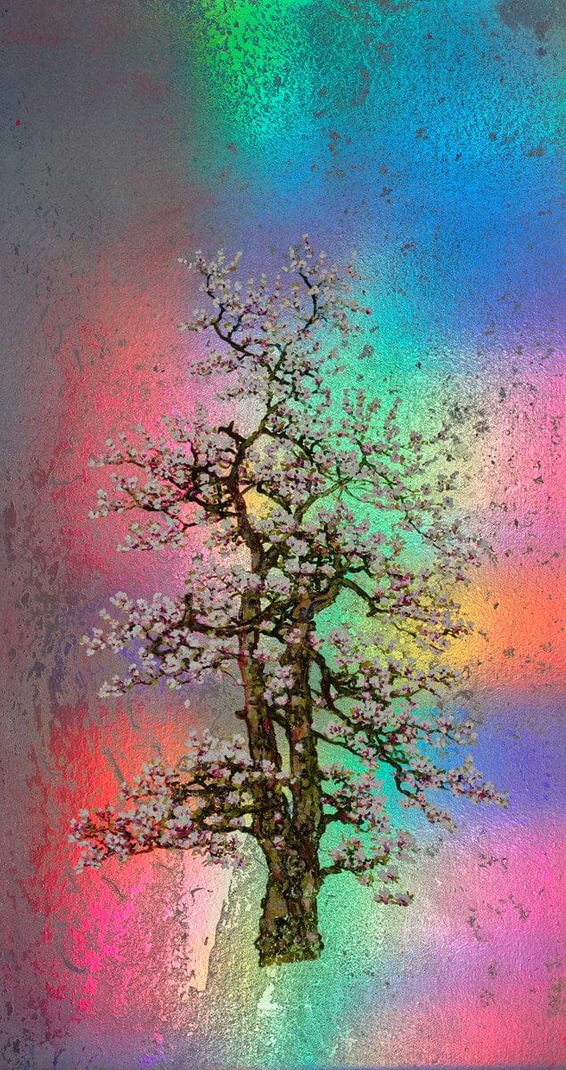 Edith, Rainbow Blossom