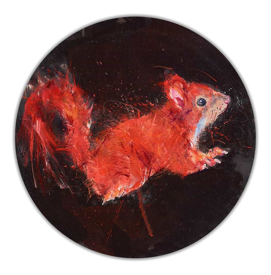 Red Squirrel Study