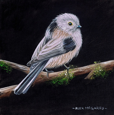 Long Tail Tit II