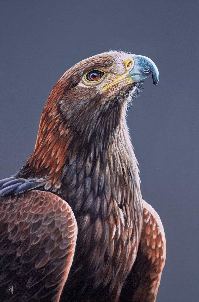 Eagle