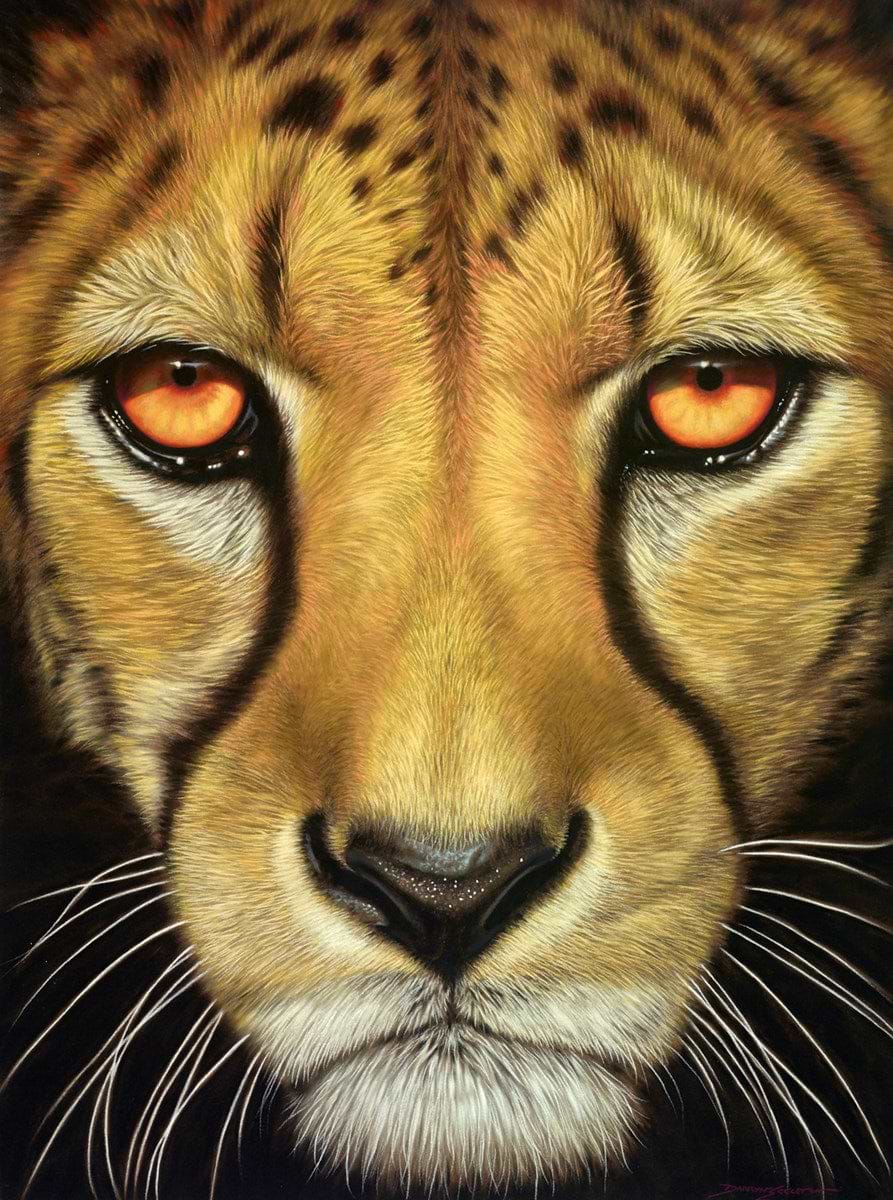 Cheetah II
