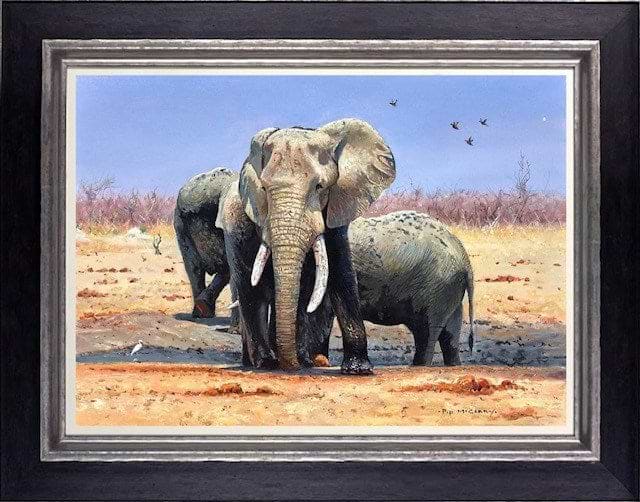 Conference at Marabou Pan (Framed)