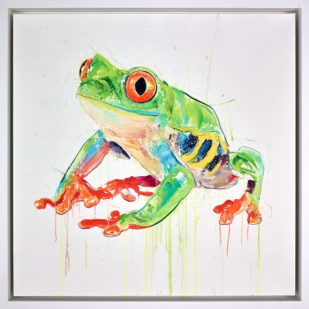 Tree Frog