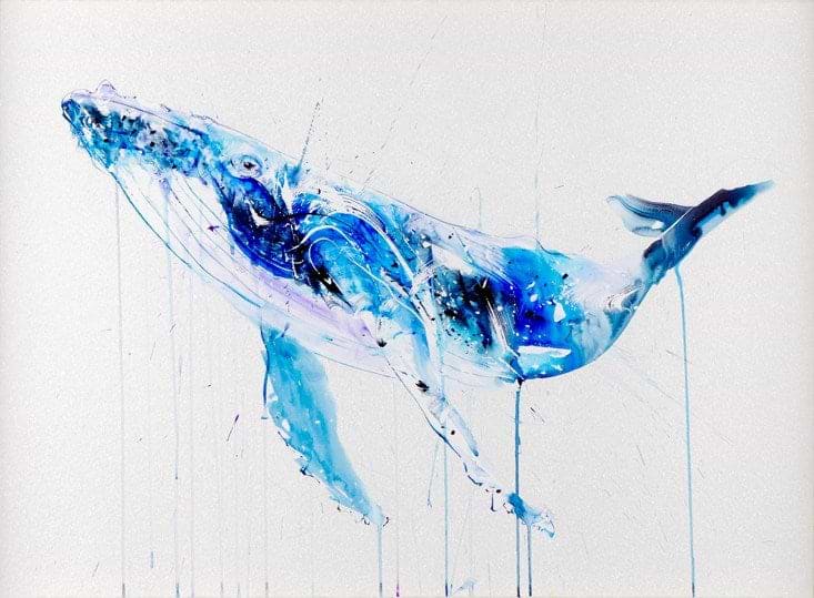 Humpback Whale