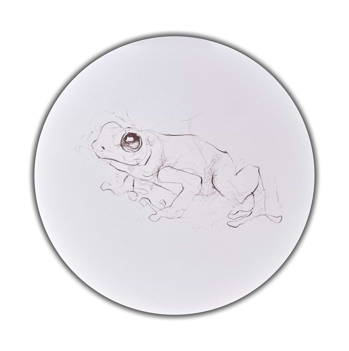 Tree Frog Study I
