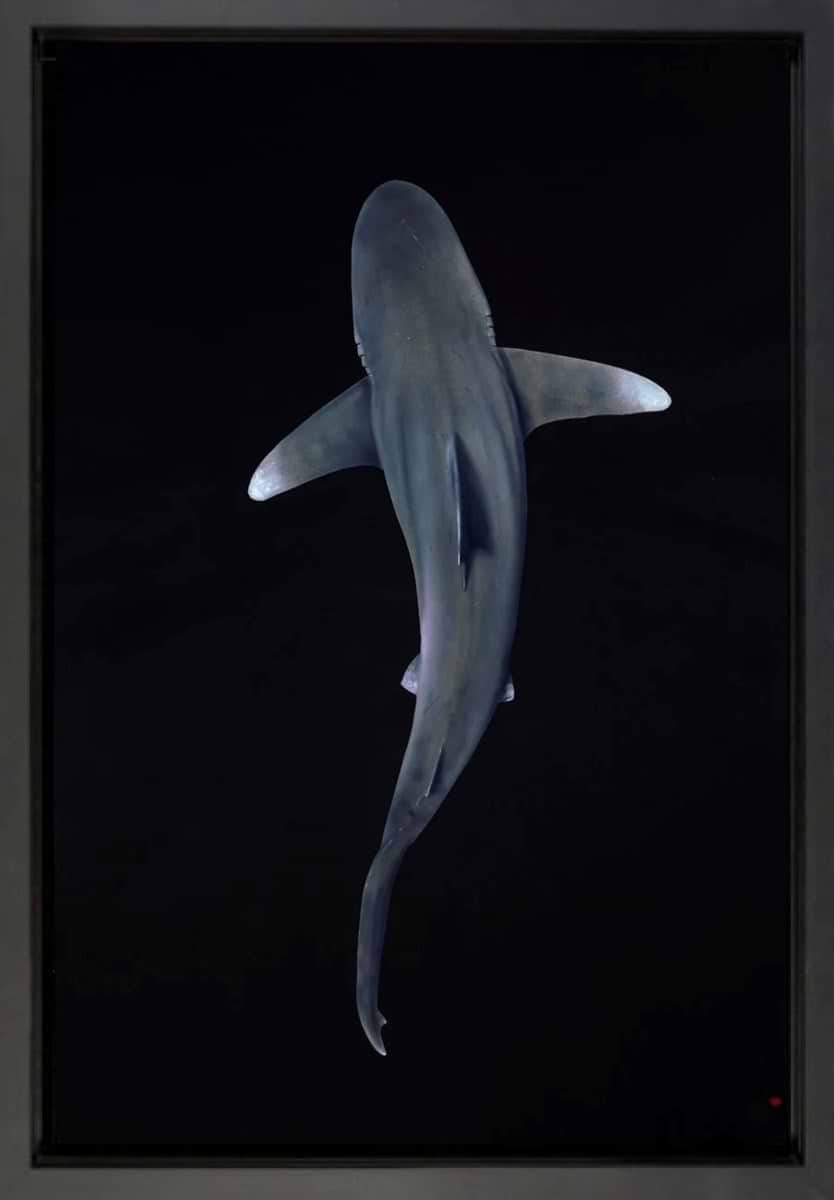 Depth (Framed)