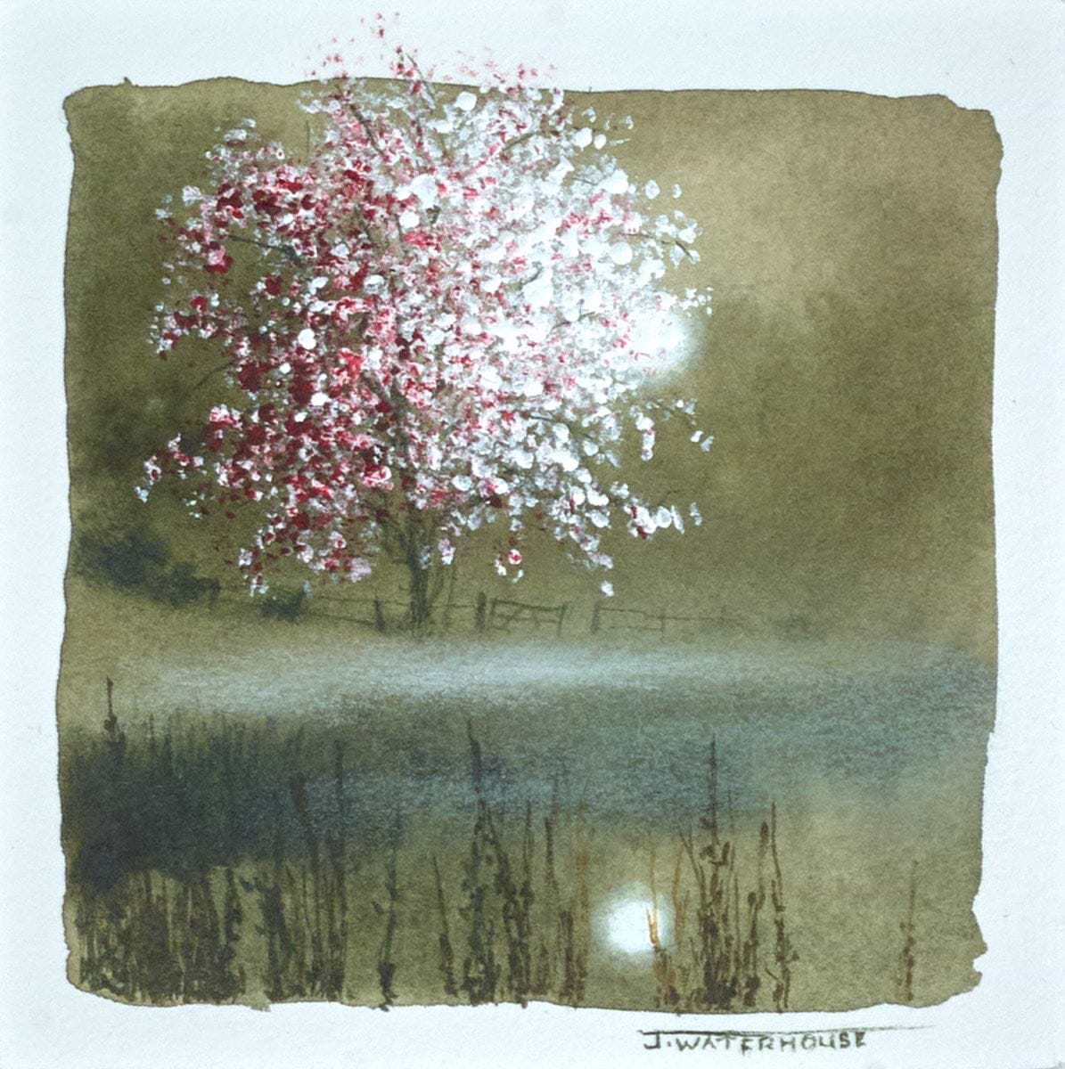 The fairy tree (study)