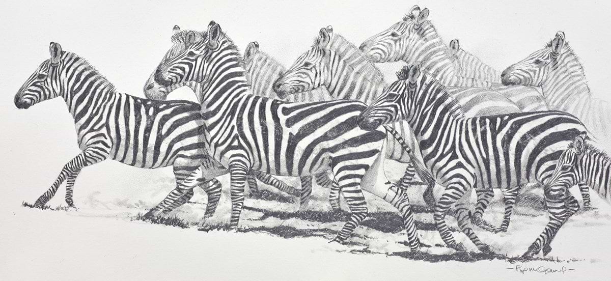 Stripes