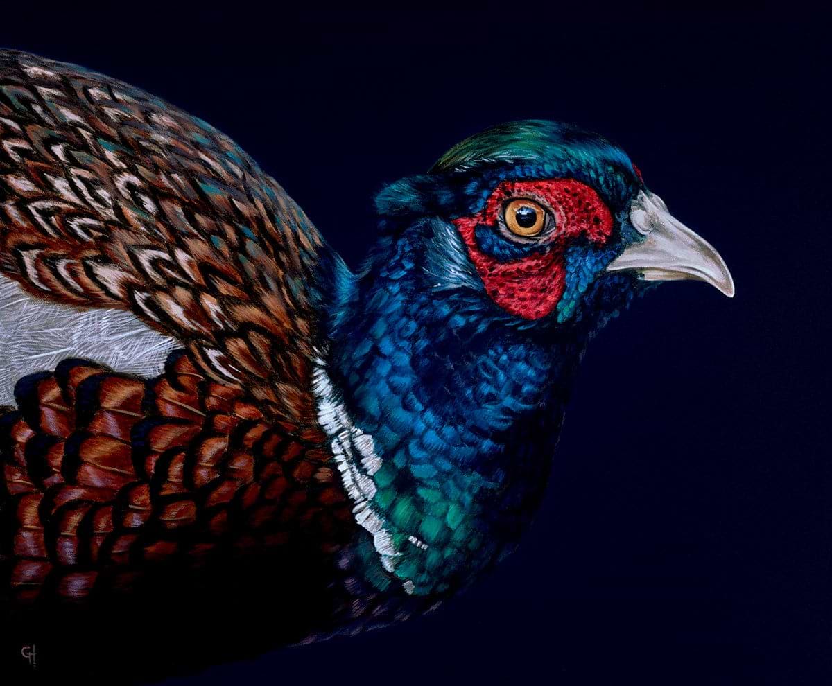 Pheasant