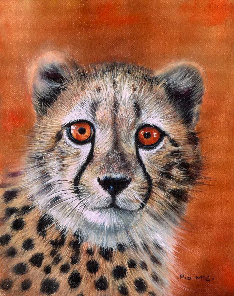 Cheetah Cub