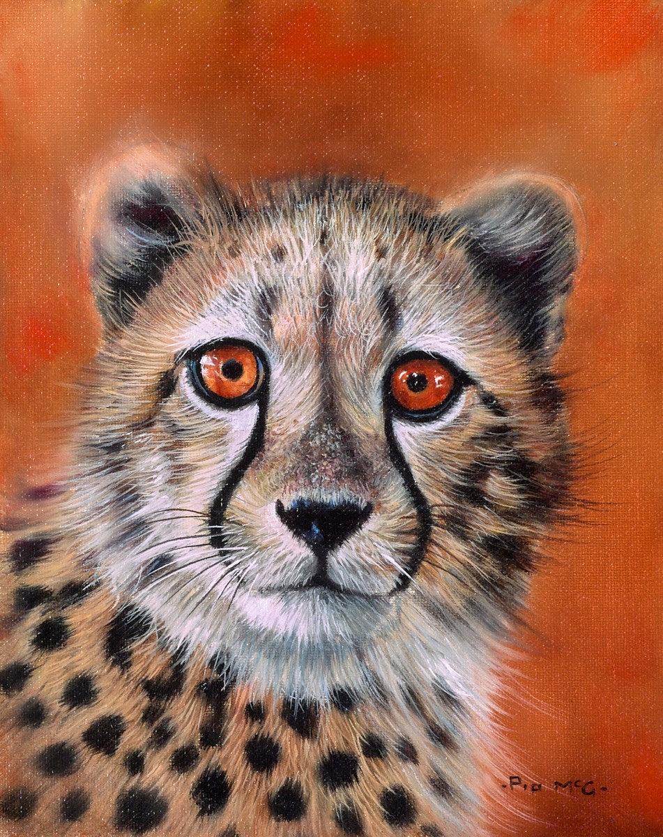 Cheetah Cub