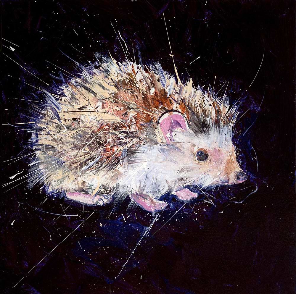 Hedgehog