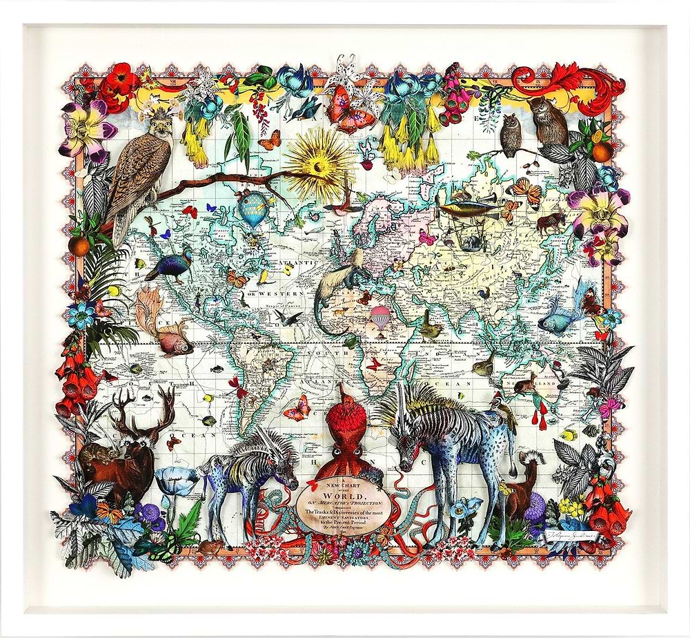 Navigators Hybrid 3D - Zebra Discoveries of the world (Framed)