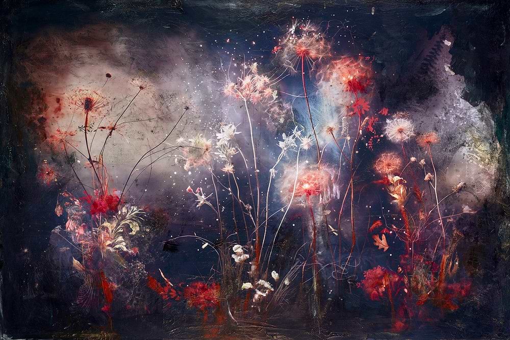 Wild Flower Sparks III