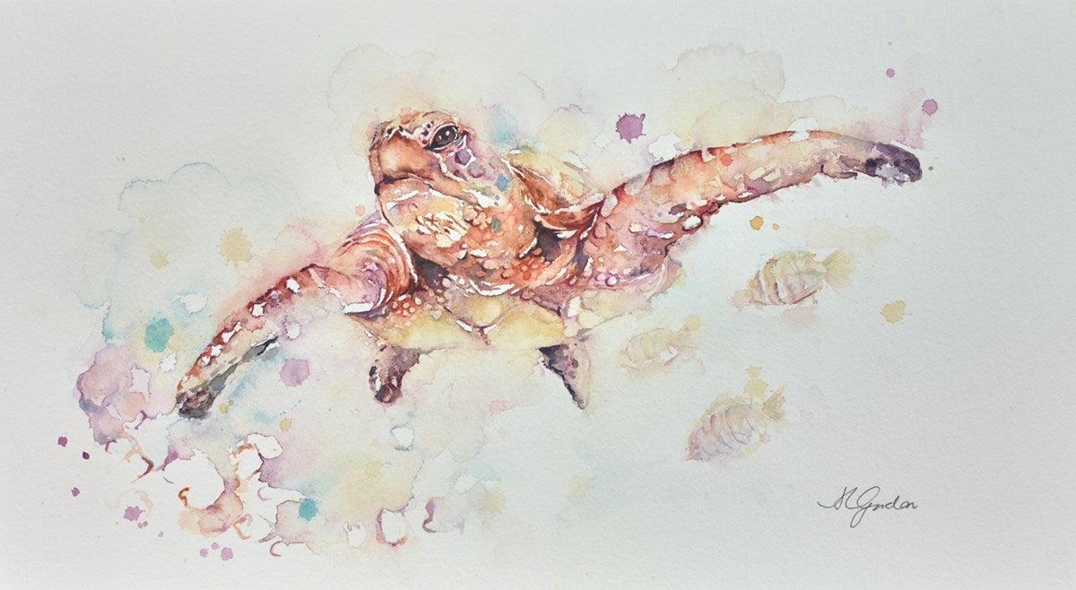 On the Reef - Sea Turtle