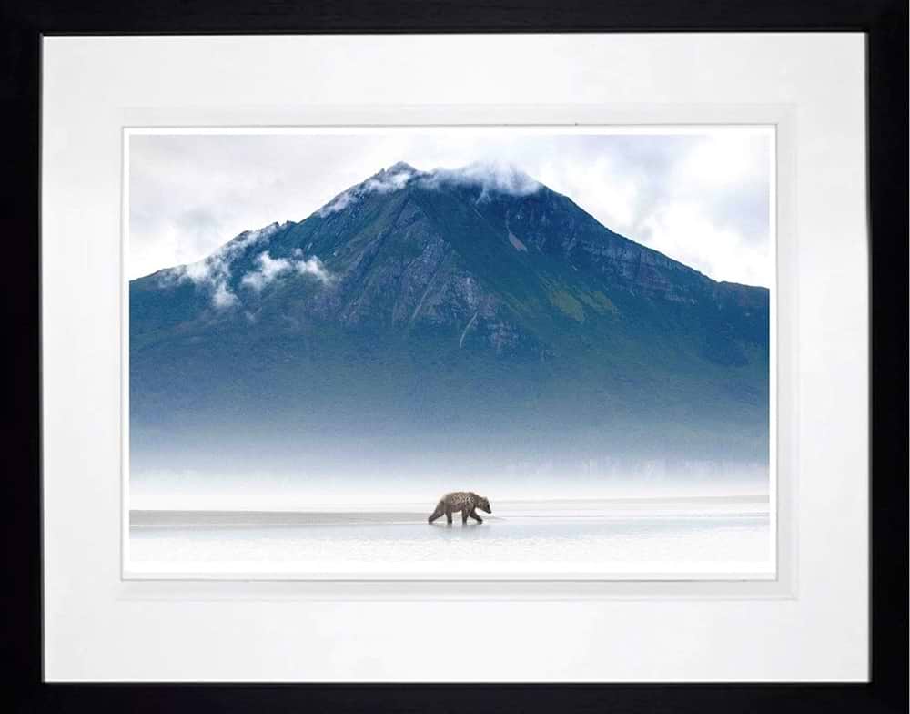 Mists of Time (Framed)
