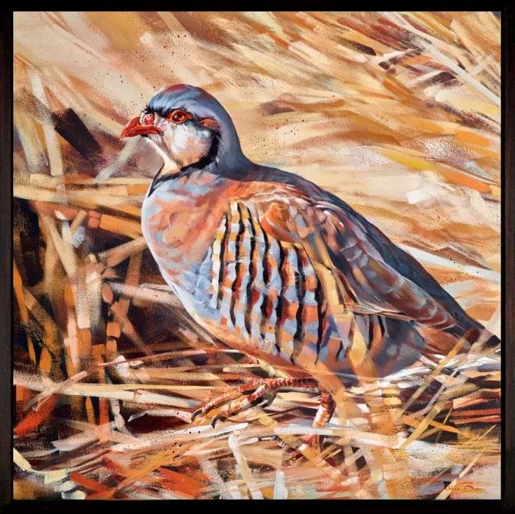 Wheat Field Partridge (Framed)