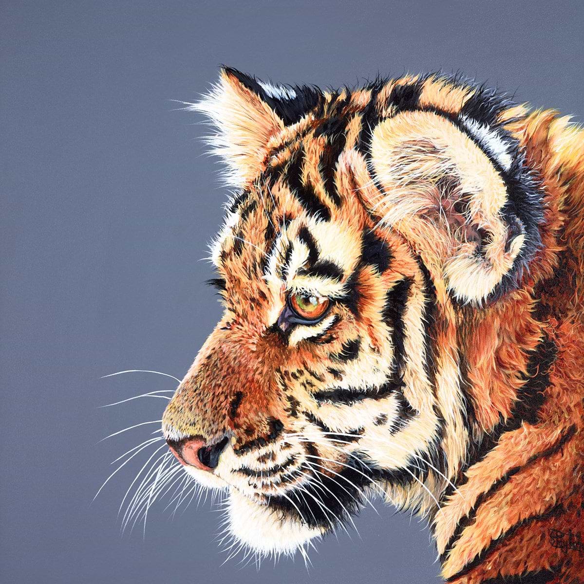 Amur Tiger Cub