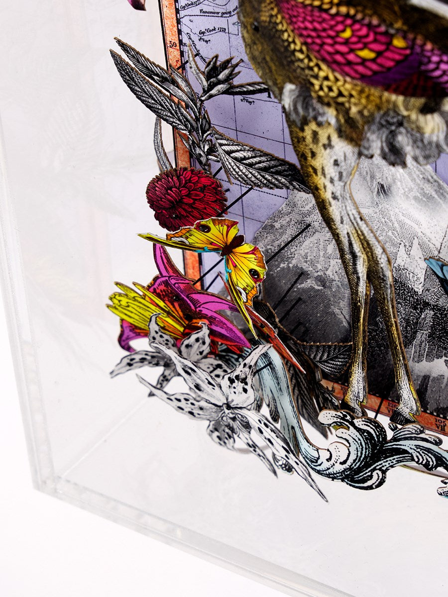 Navigators Floating Map - Ostrich Discoveries of the world (Left)
