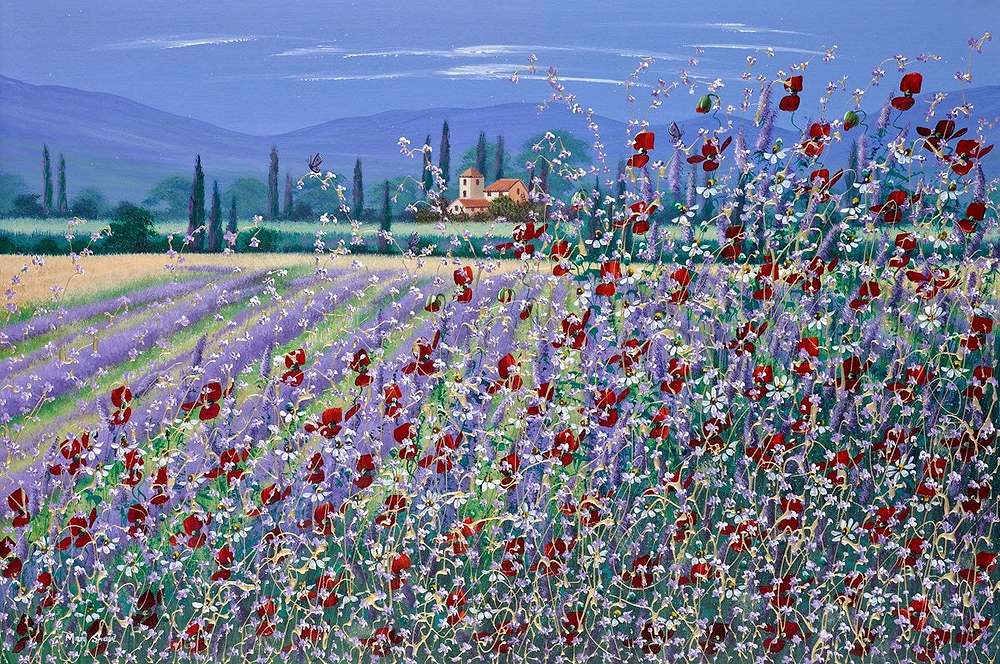 Summer Poppies V
