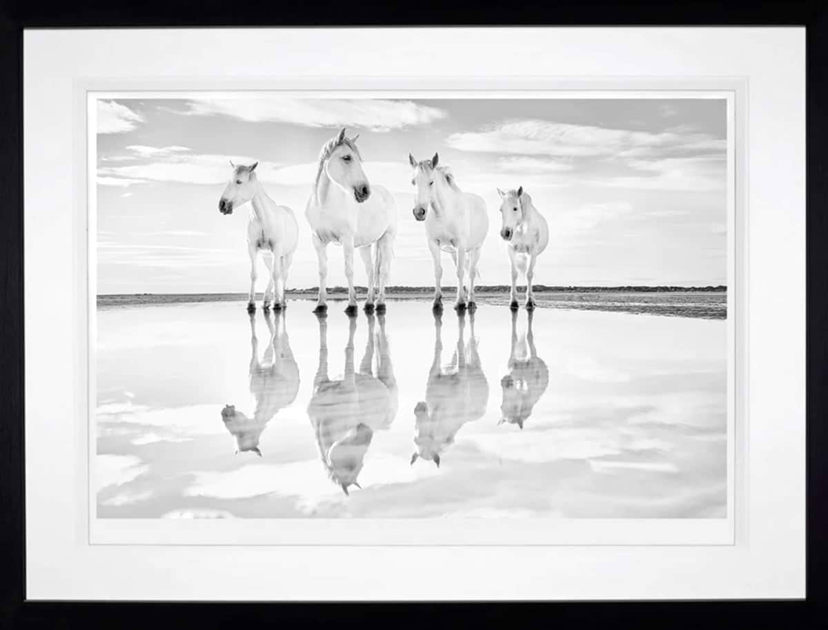 Calm Waters (Framed)