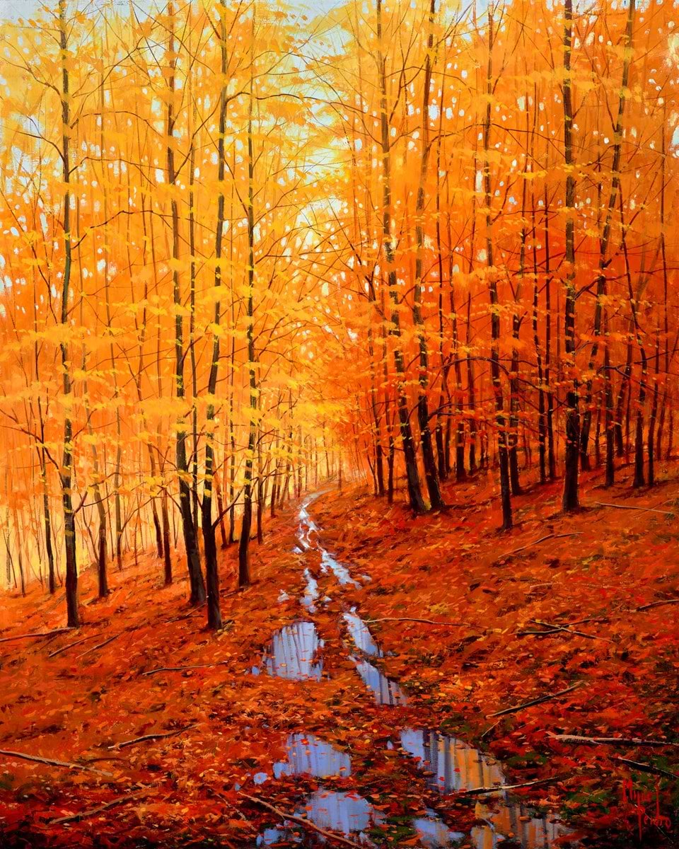 Bosque de Saja
