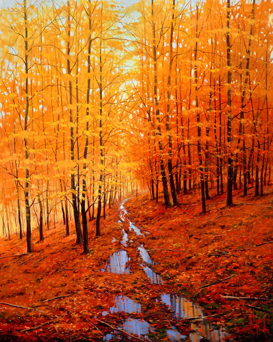 Bosque de Saja