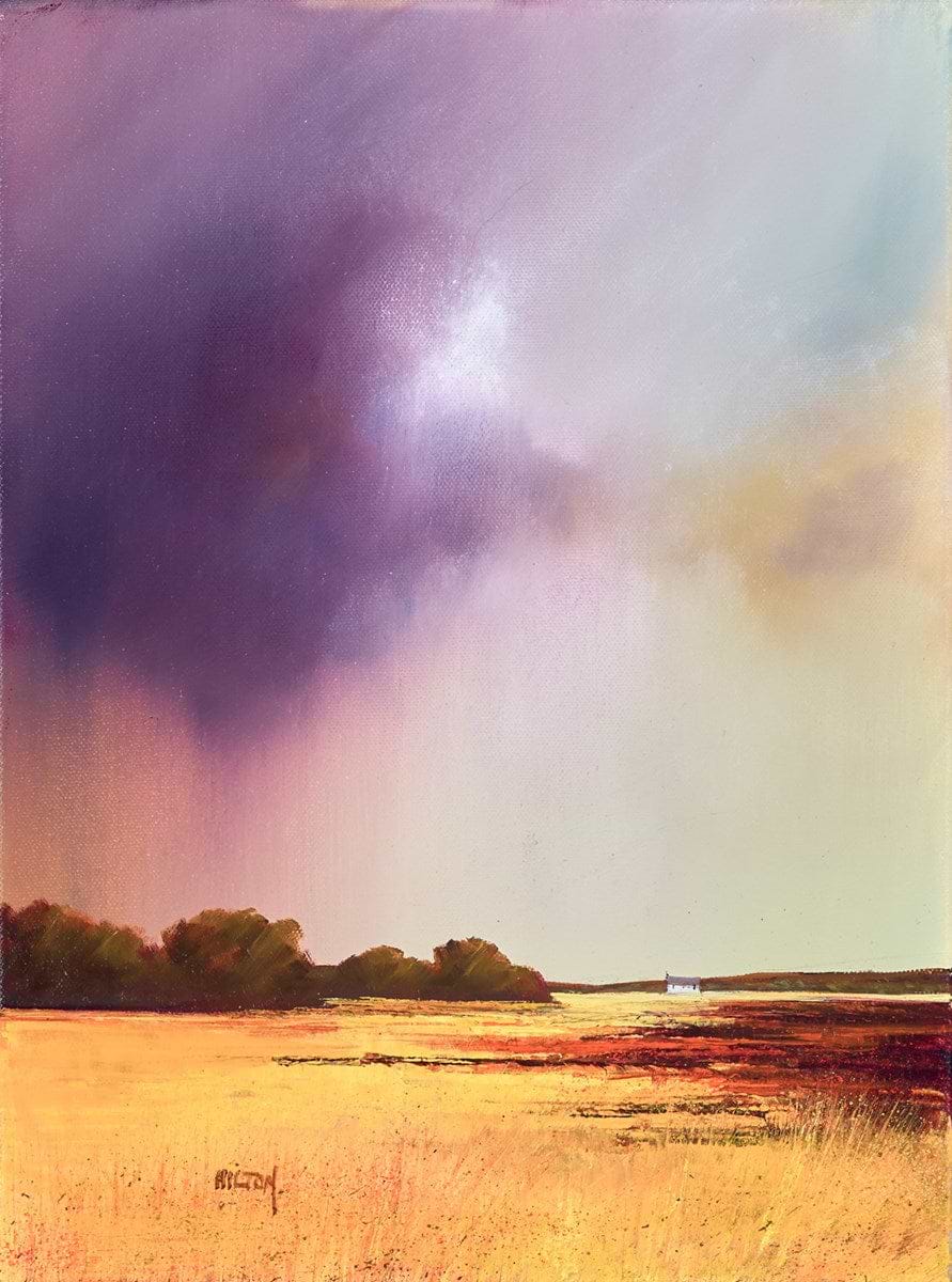 Approaching Summer Storm