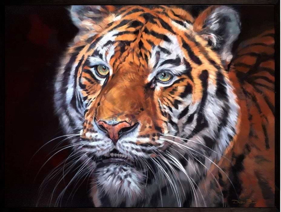 Sumatran Tiger- Rare Beauty (Framed)