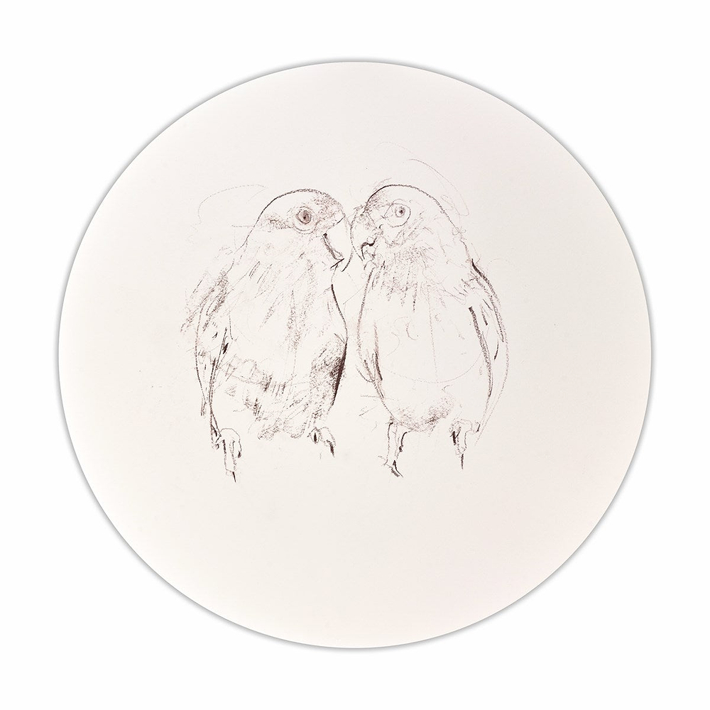 Love Bird Study I