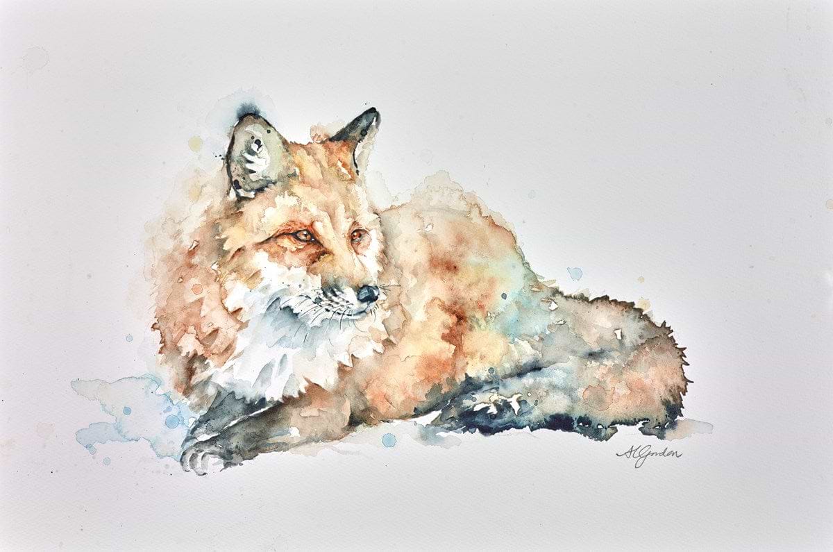 Resting Fox