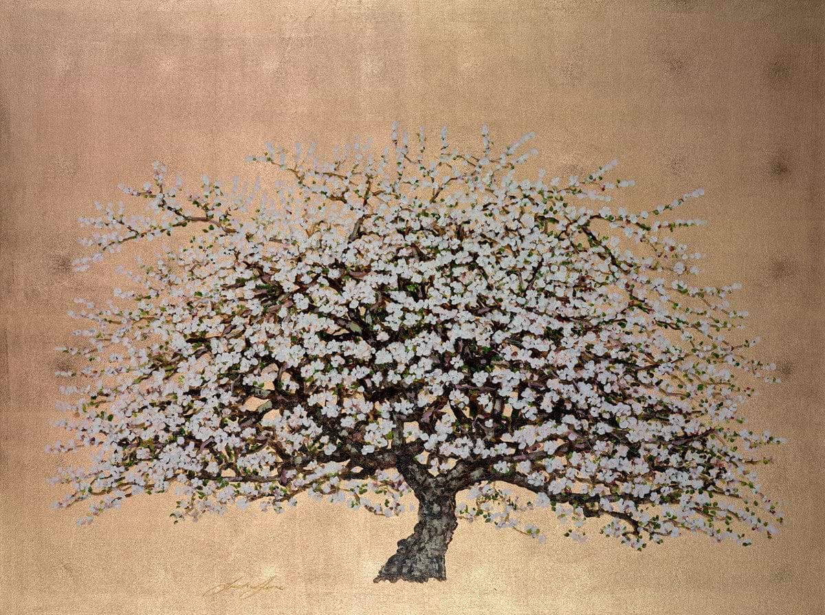Wild Apple Blossom