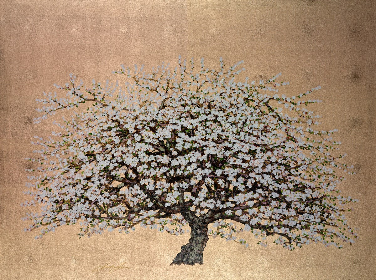 Wild Apple Blossom