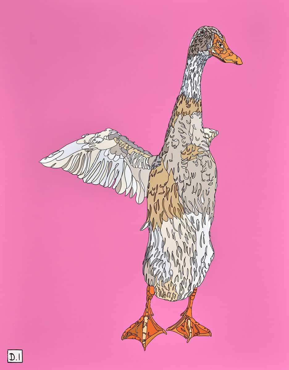 Runner Duck on Pink