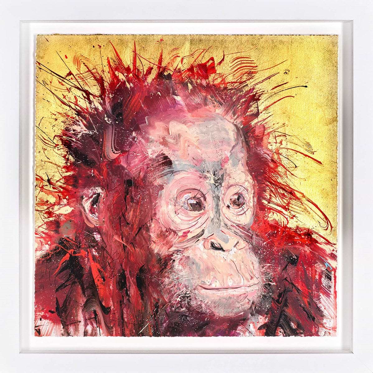 Baby Orangutan (Framed)